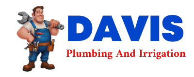 Trusted plumber in NEW LOTHROP